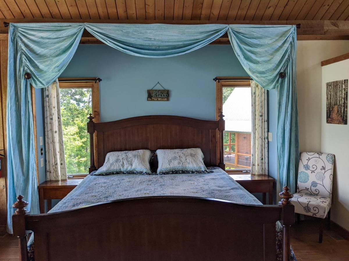 Twinflower Summit - Incredible Views, Pet Friendly! ガトリンバーグ エクステリア 写真