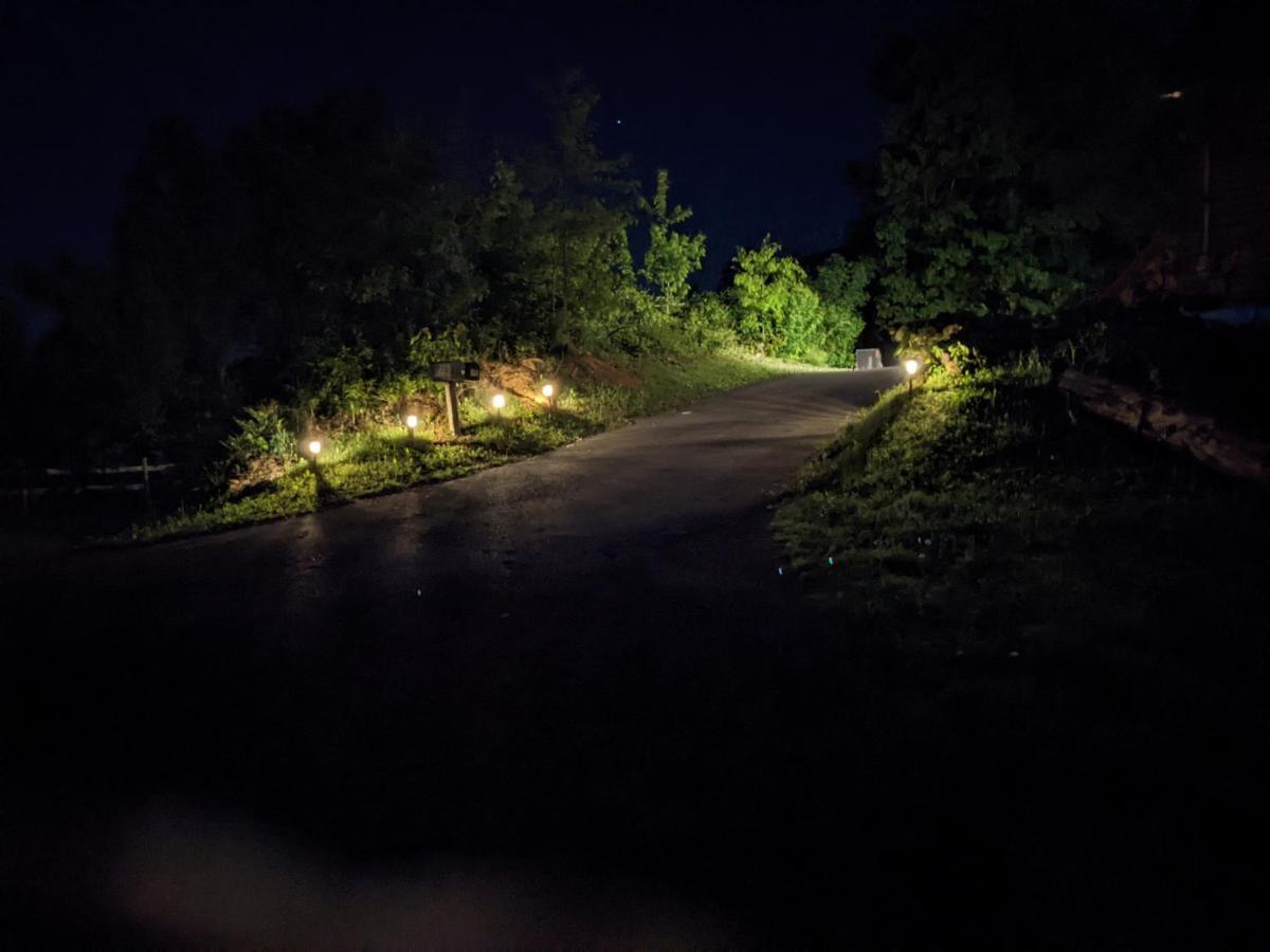 Twinflower Summit - Incredible Views, Pet Friendly! ガトリンバーグ エクステリア 写真